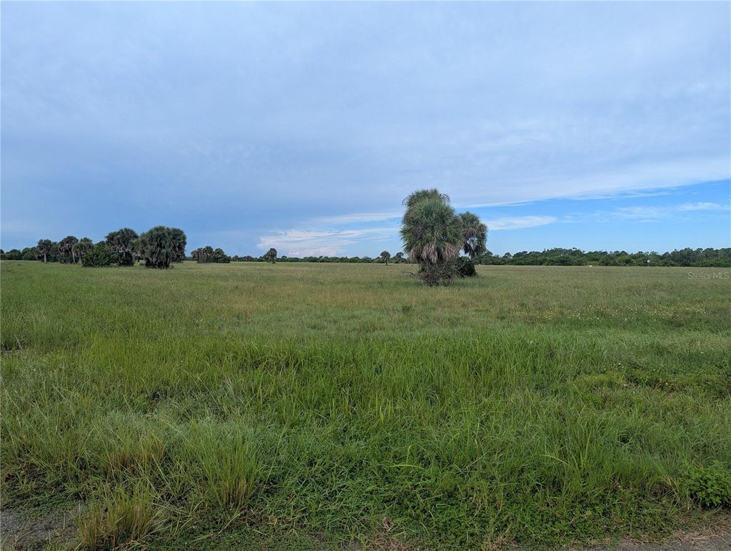 Photo of 12451 Filefish Court, Placida, FL 33946 (MLS # C7515159)