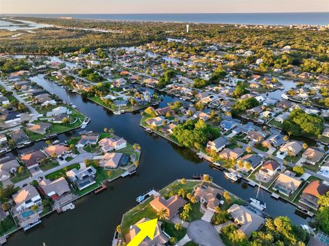 A home in PALM COAST