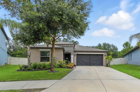 Photo of 10040 Caraway Spice Avenue, Riverview, FL 33578 (MLS # TB8402568)