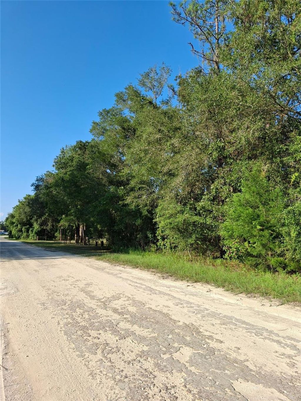 Photo of 113378 Canyon Swallow Road, Weeki Wachee, FL 34614 (MLS # TB8437149)