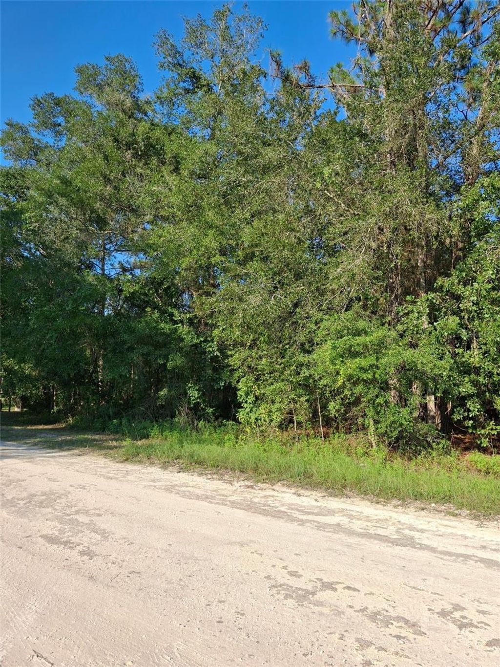 Photo of 113378 Canyon Swallow Road, Weeki Wachee, FL 34614 (MLS # TB8437149)