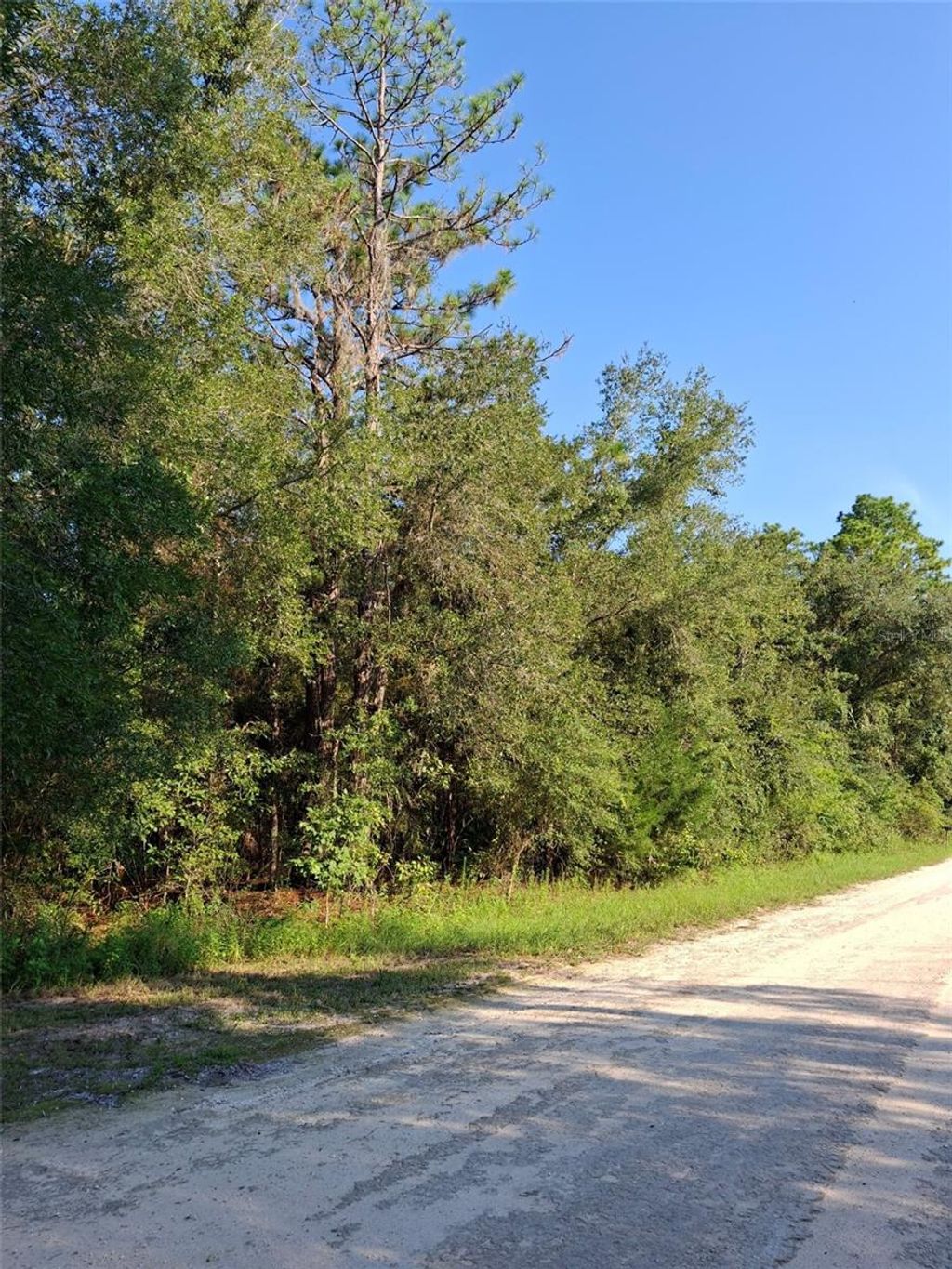 Photo of 113378 Canyon Swallow Road, Weeki Wachee, FL 34614 (MLS # TB8437149)