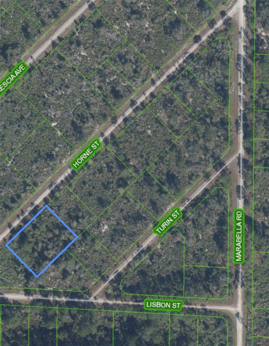 Photo of 3513 Turin Street, Lake Placid, FL 33852 (MLS # C7531074)