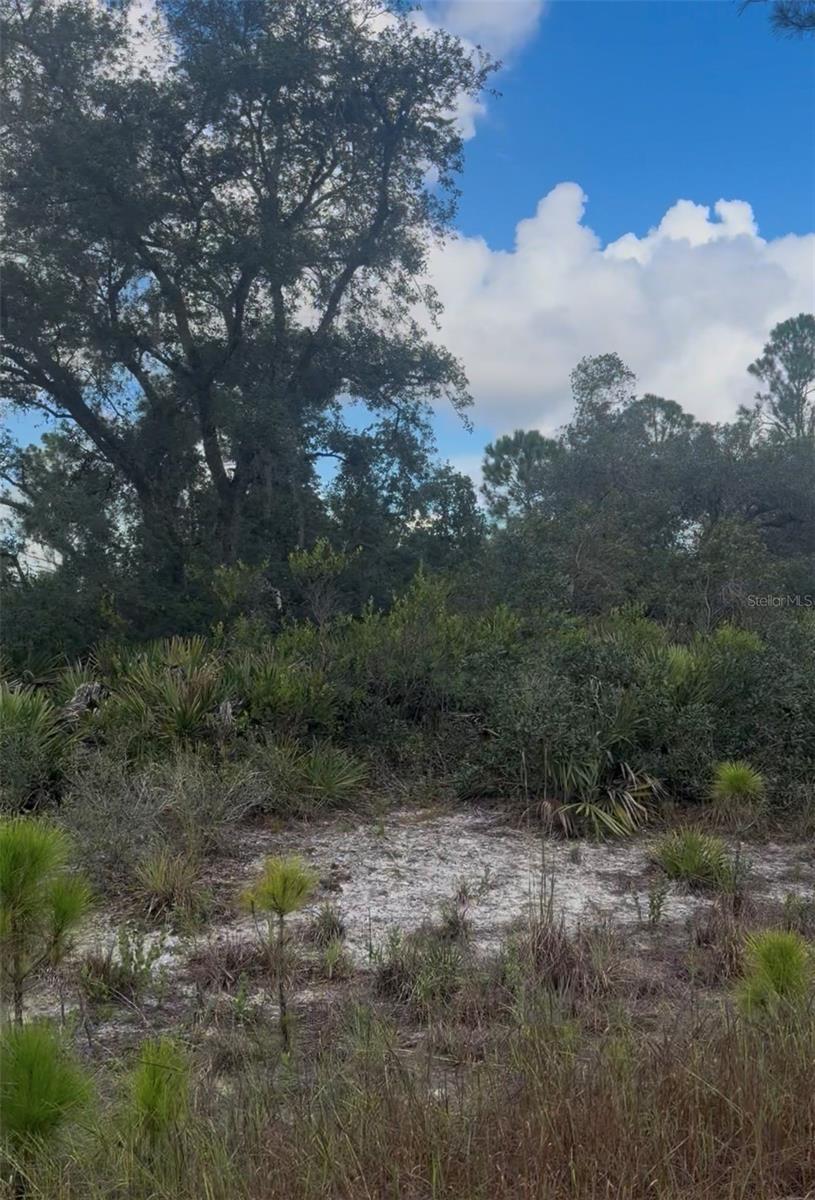 Photo of 3513 Turin Street, Lake Placid, FL 33852 (MLS # C7531074)