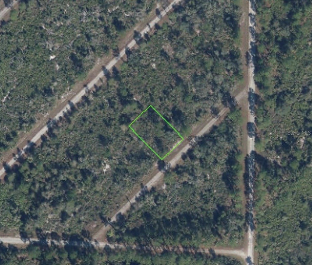 Photo of 3513 Turin Street, Lake Placid, FL 33852 (MLS # C7531074)