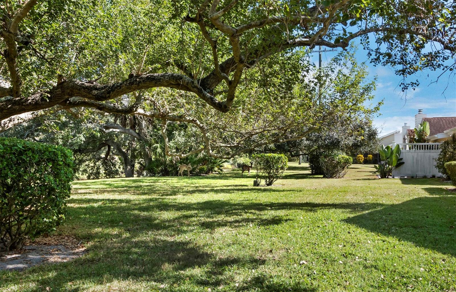 KNOLLS THE, BENT TREE - Residential