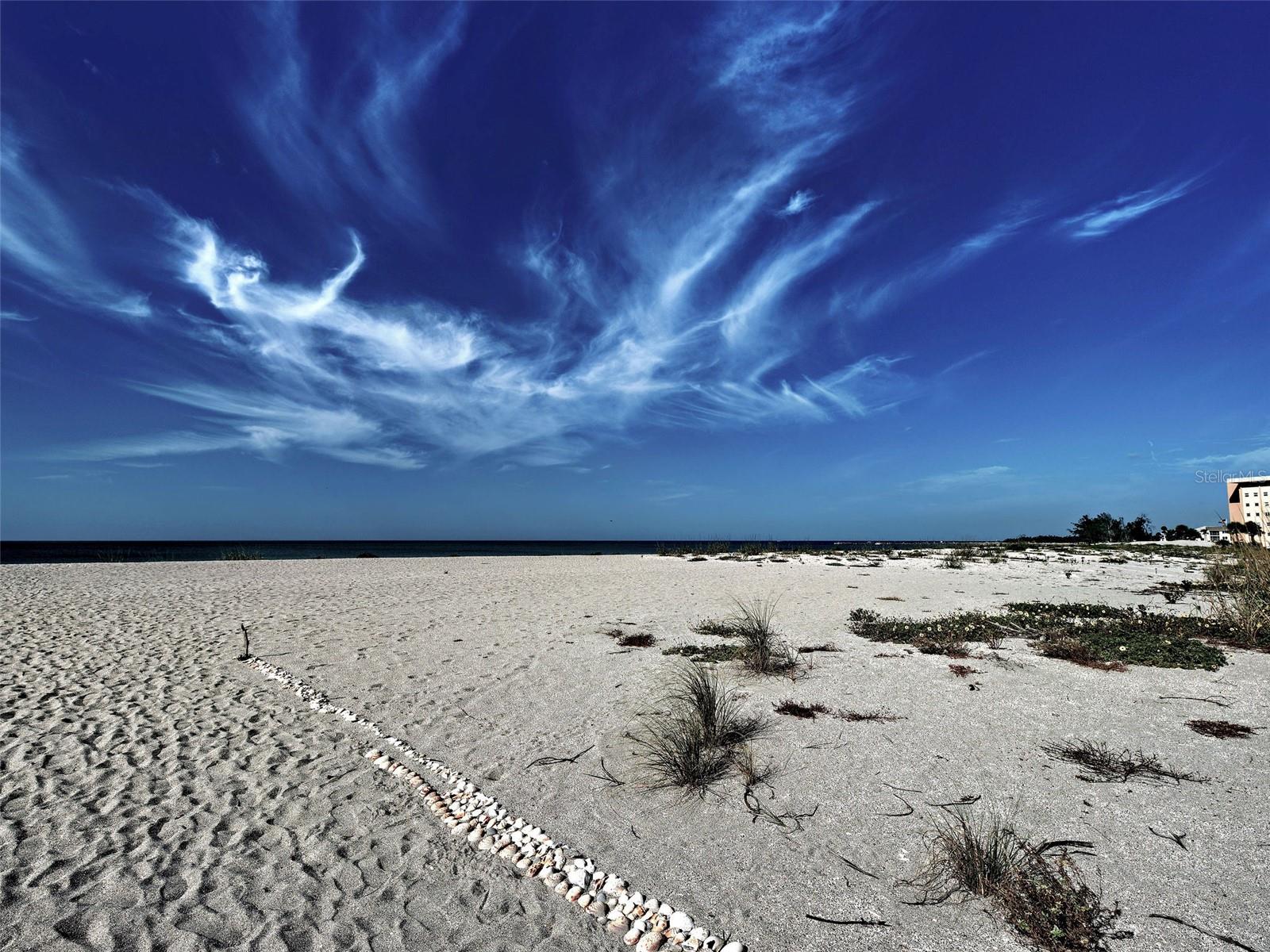 1100 TARPON CENTER DRIVE 202, VENICE, FL, 34285 4 1100 TARPON CENTER DRIVE 202