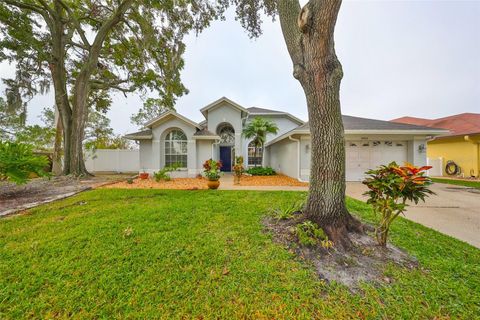 A home in TAMPA