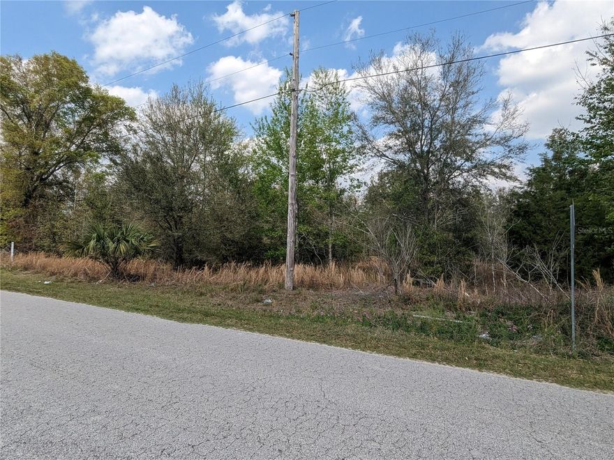 Great location, right off of Hwy 441 just north of the Villages! Come be part of the growth and check this gem out! Here is a 2 parcel property that is 6+ acres, Zoned B4 and ready to be developed into that storage lot or other commercial mixed use in the fastest growing county in Florida! Only 7 miles from Lake Weir makes it a great opportunity for a well needed boat storage! Many possibilities to develop these 6+ acres