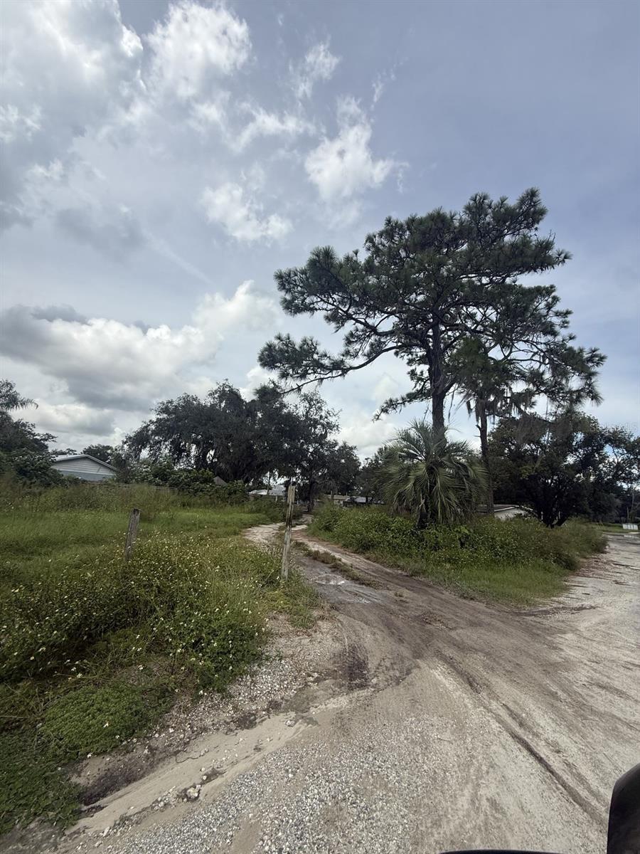 Photo of 6042 Lewis Drive, Zephyrhills, FL 33542 (MLS # TB8551579)