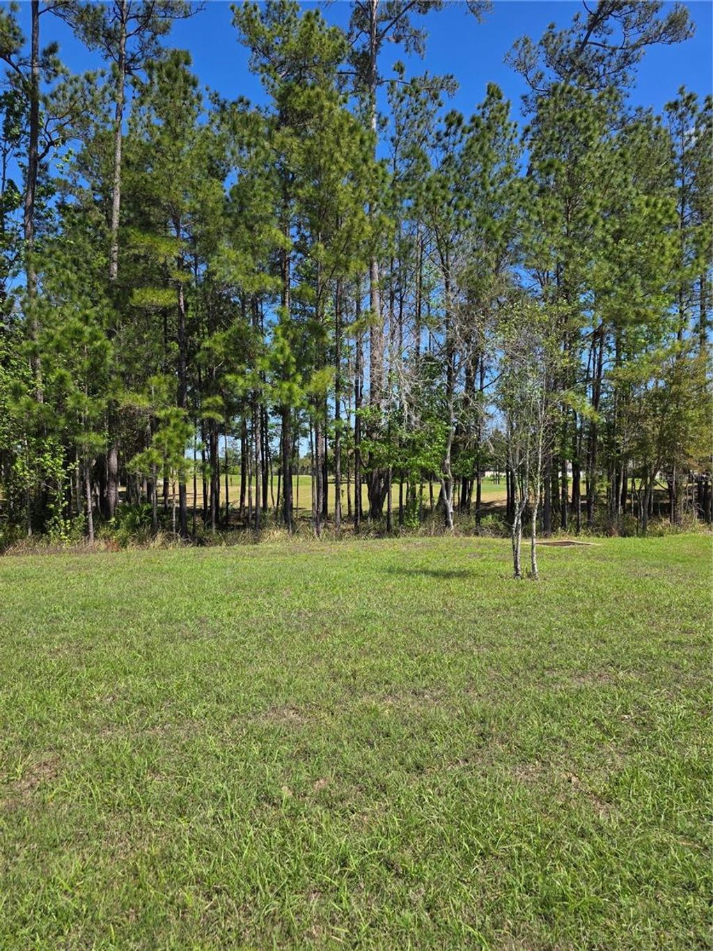 Photo of 5058 Diantha Way, Brooksville, FL 34604 (MLS # TB8494884)