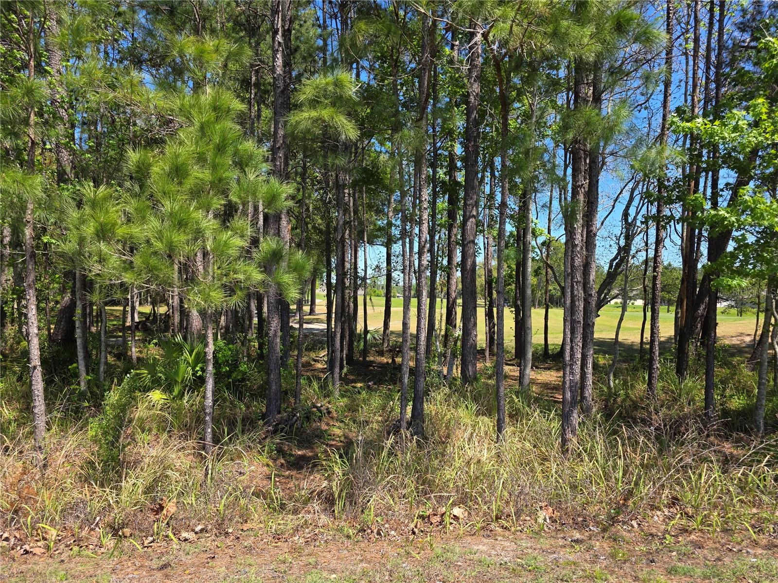 HERNANDO OAKS PH 3 - Residential