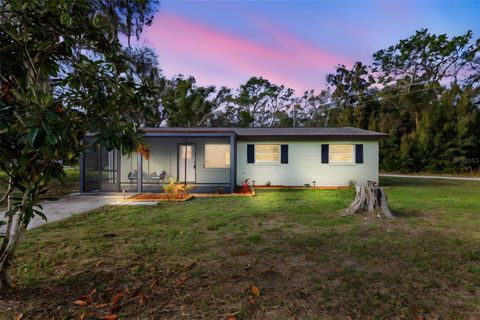 Photo of 17230 County Road 450a, Umatilla, FL 32784 (MLS # O6388397)