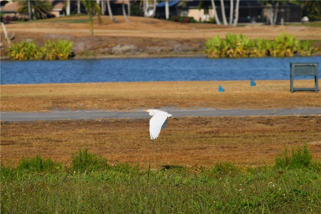 ROYAL PALM GOLF ESTATE UNIT 1 - Land