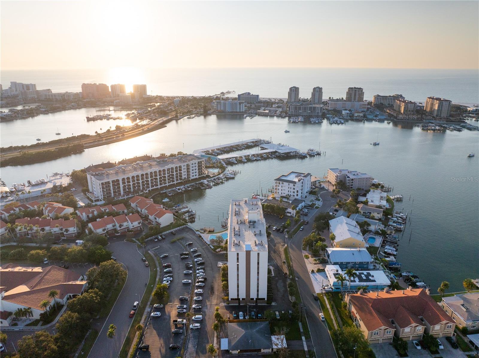 DOLPHIN COVE CLEARWATER - Residential Lease