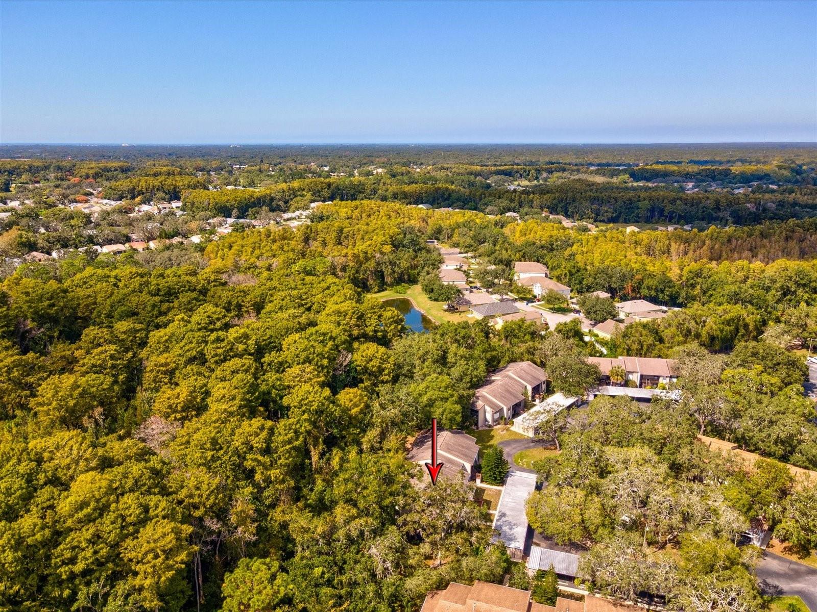 BAYWOOD MEADOWS PH 01 - Residential