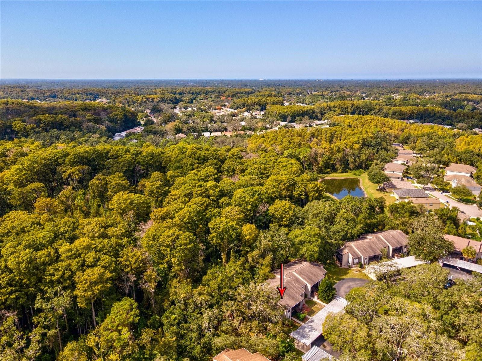 BAYWOOD MEADOWS PH 01 - Residential