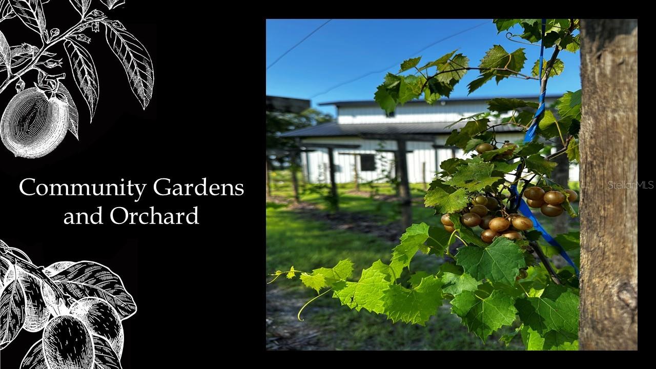 FLINT ROCK AGRIHOOD - Land