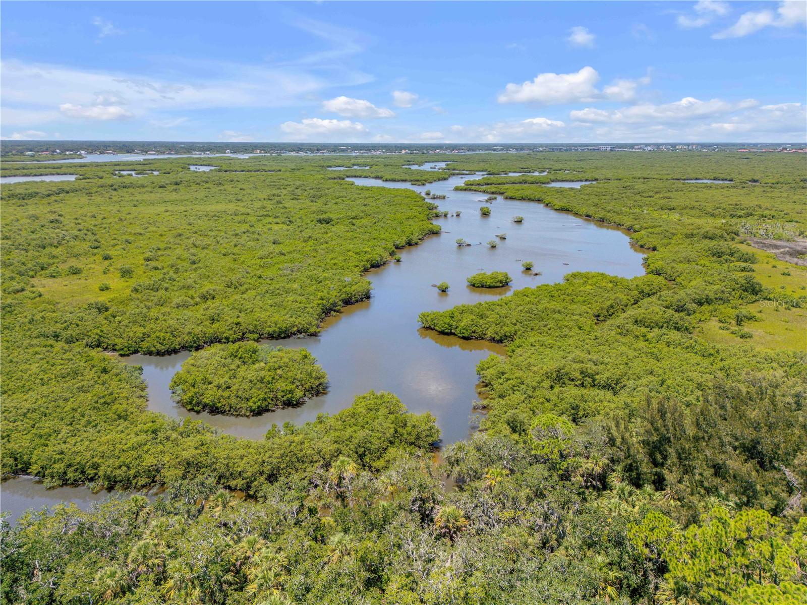 NEW SMYRNA BEACH - Residential