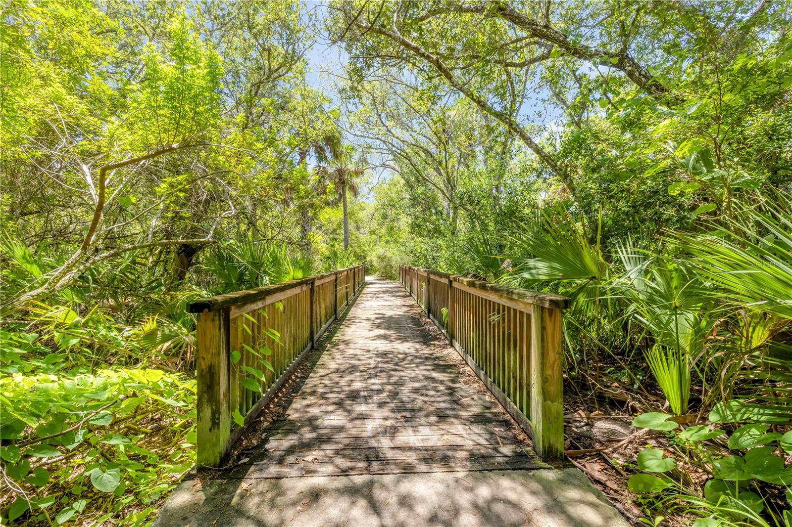 NEW SMYRNA BEACH - Residential