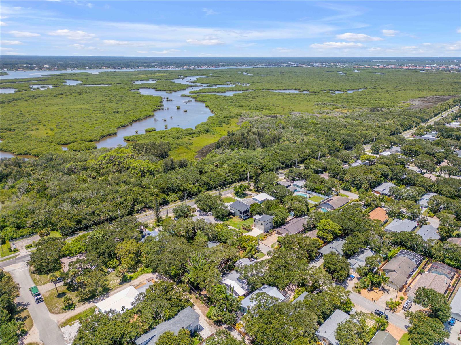 NEW SMYRNA BEACH - Residential