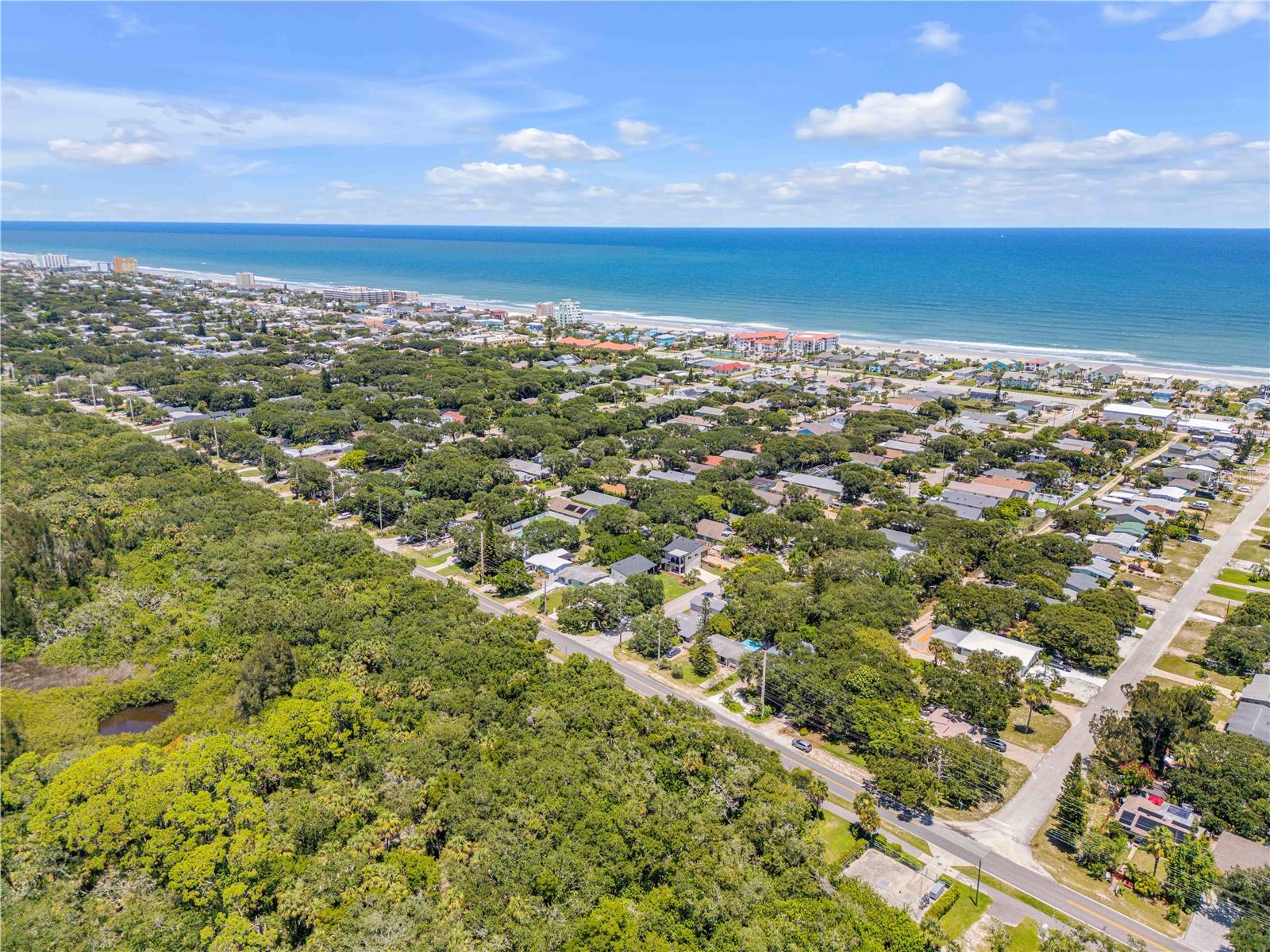 NEW SMYRNA BEACH - Residential