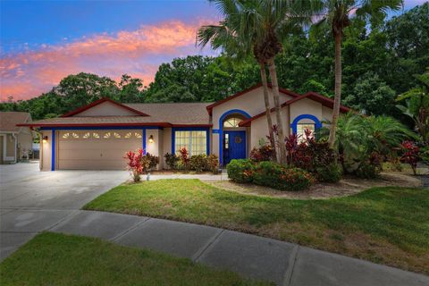 6505 BROADWING COURT TAMPA FL 33625