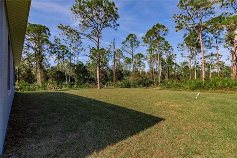 A home in PUNTA GORDA