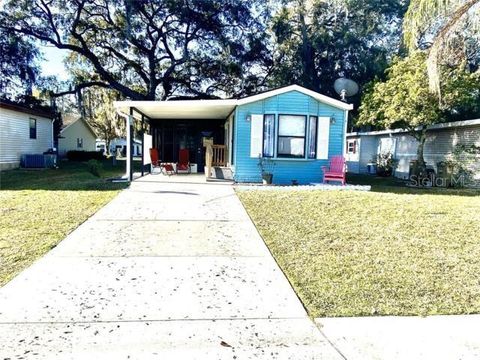 610 COTTAGE PARK LANE LEESBURG FL 34748