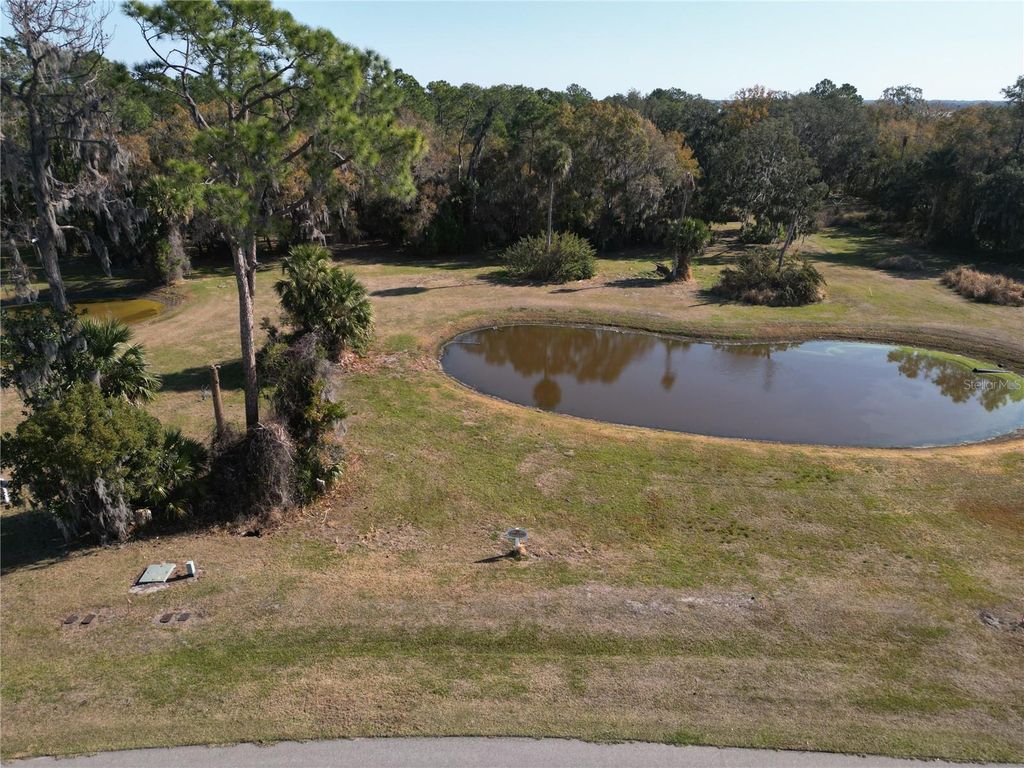 Photo of 3672 Hidden River Lane, Tavares, FL 32778 (MLS # S5143673)