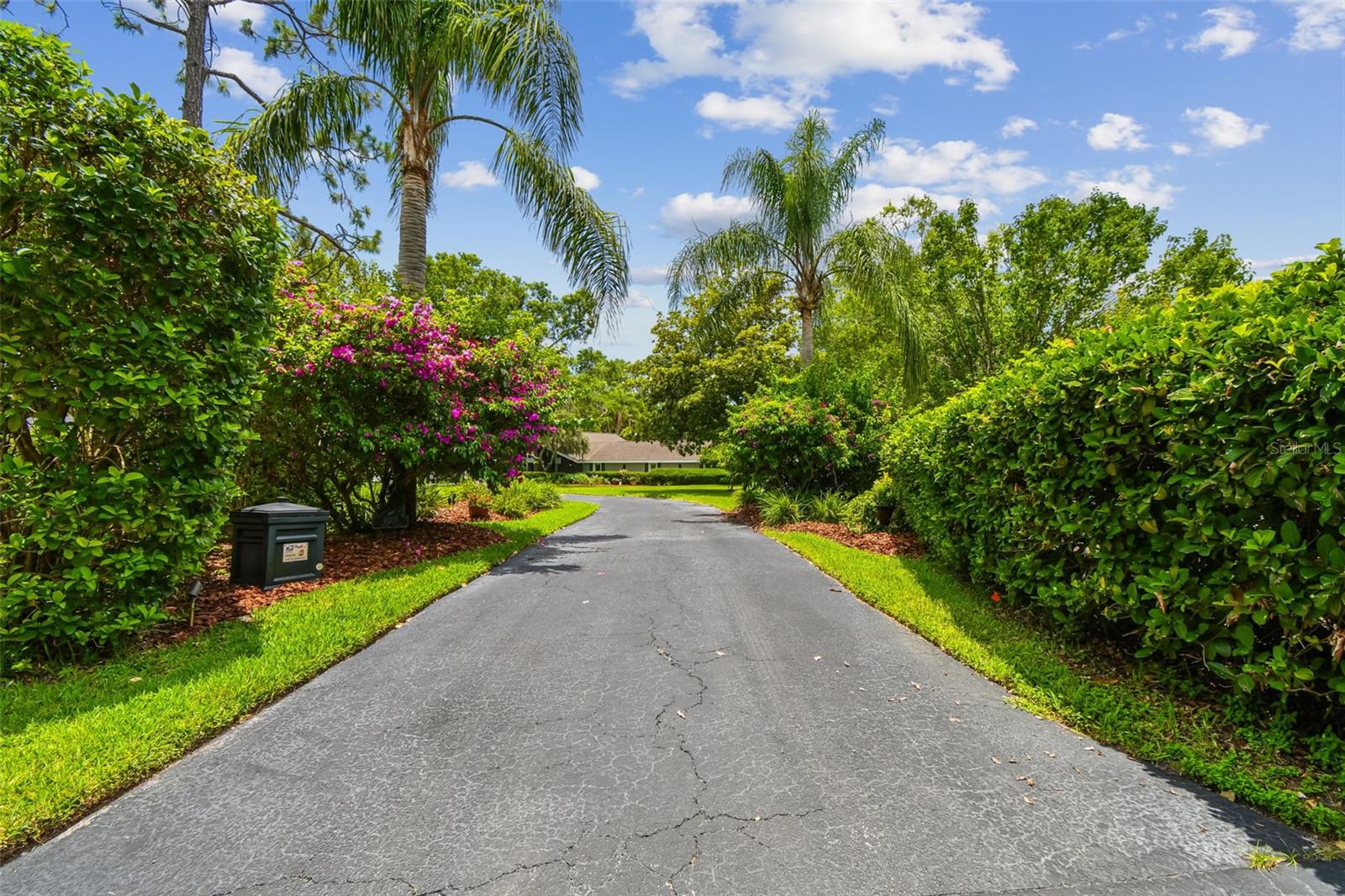 16205 SENTRY WOODS COURT