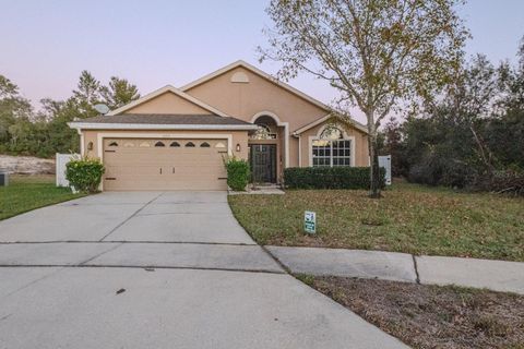 A home in DELTONA