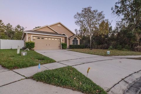 A home in DELTONA