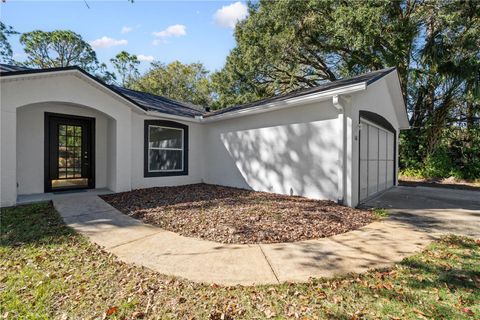 A home in PALM COAST