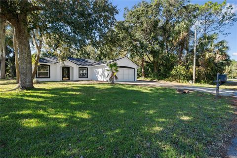 A home in PALM COAST