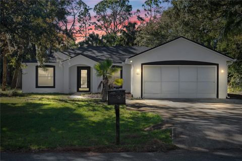 A home in PALM COAST