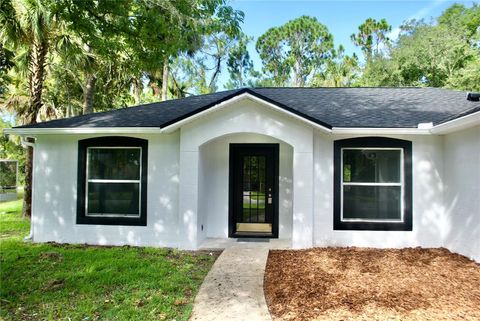 A home in PALM COAST