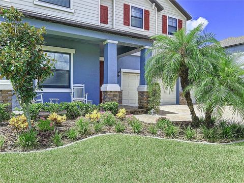 A home in WESLEY CHAPEL