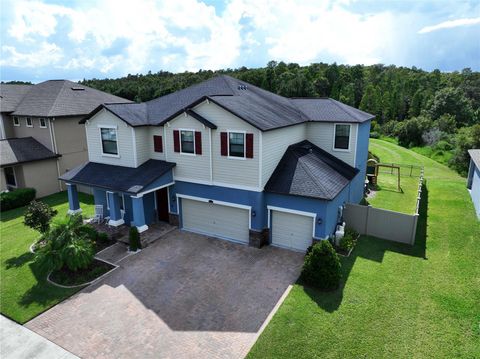 A home in WESLEY CHAPEL