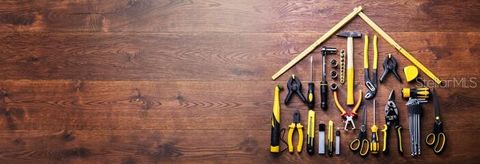  THE VILLAGES FL 32163