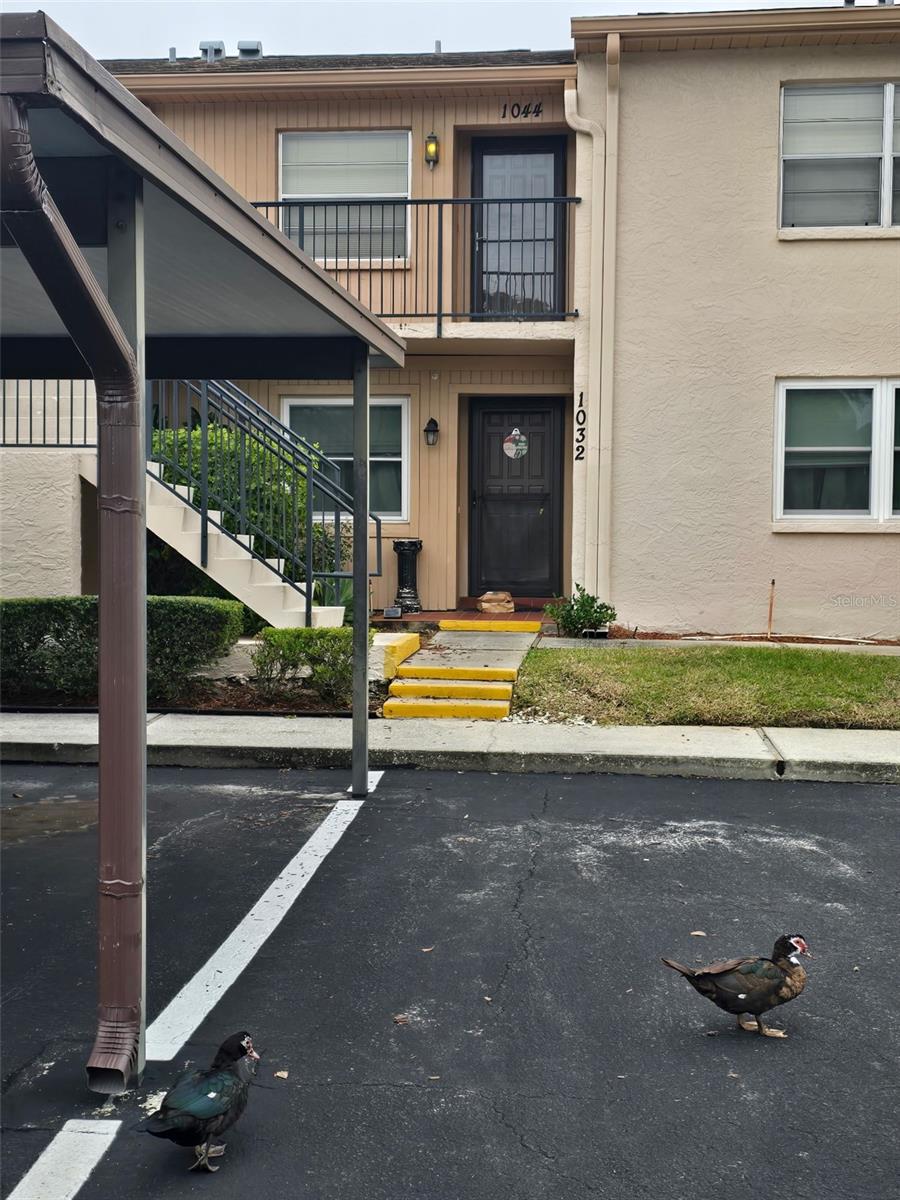 HOLIDAY LAKE VILLAS CONDO - Residential