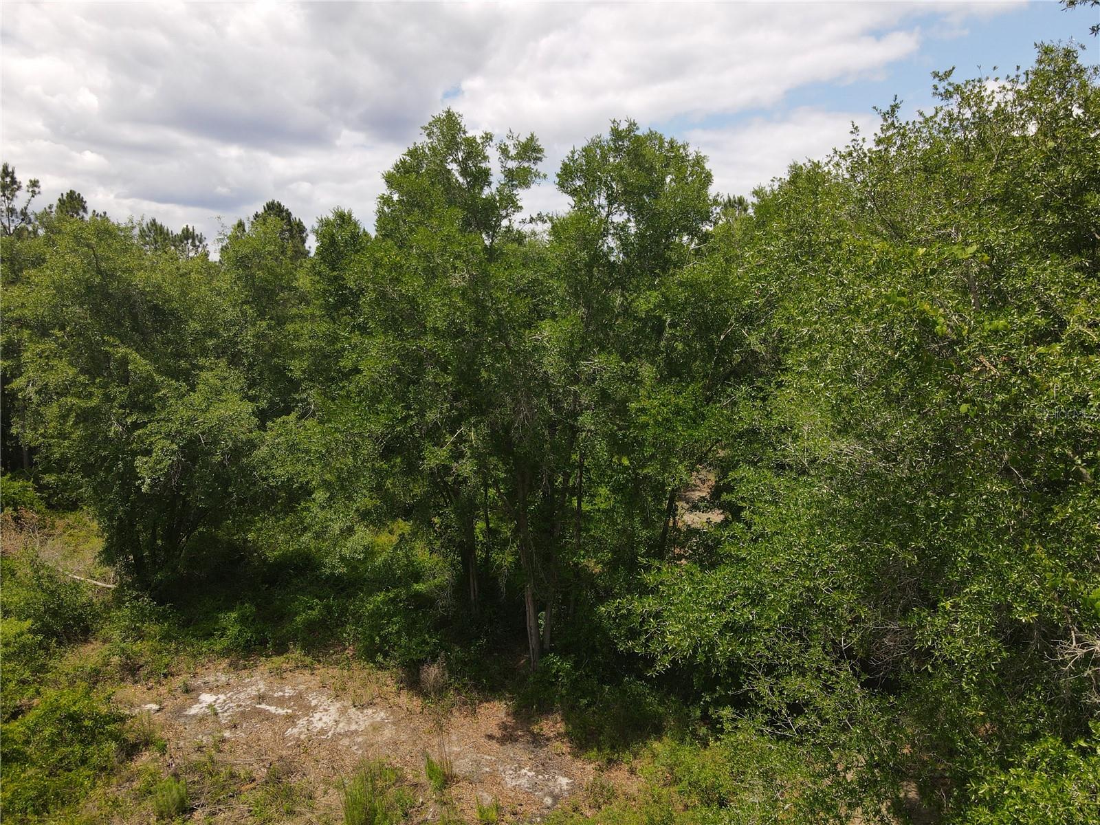 TBD N STATE ROAD 121 1