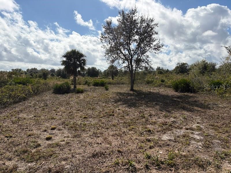 SOUTHERN COLONIZATION CO - Land