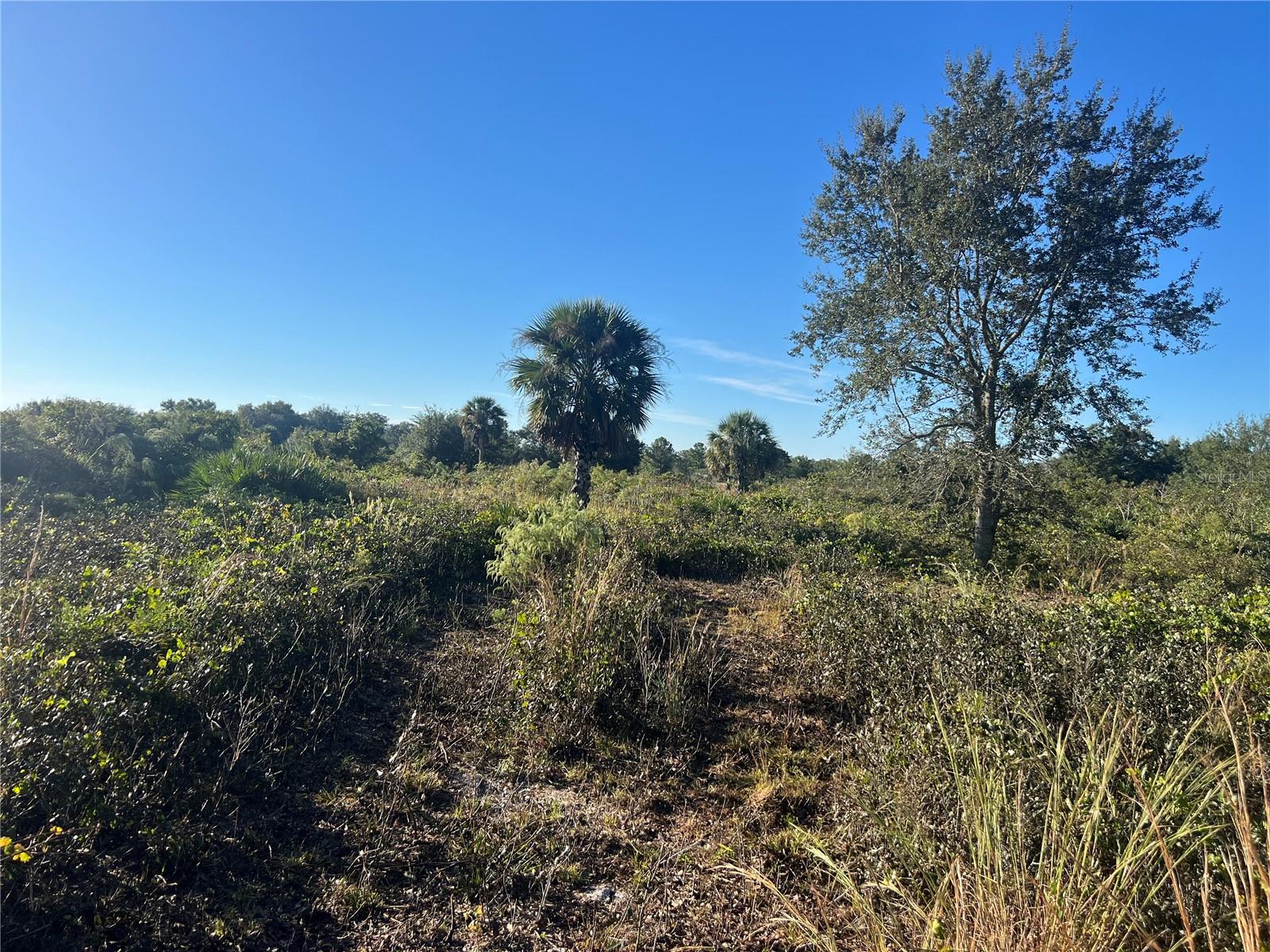 SOUTHERN COLONIZATION CO - Land