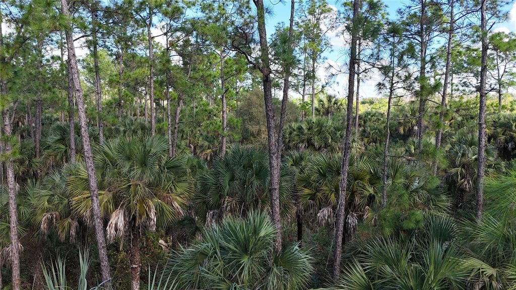 Photo of 16th Ave SE, Naples, FL 34117 (MLS # OM717000)