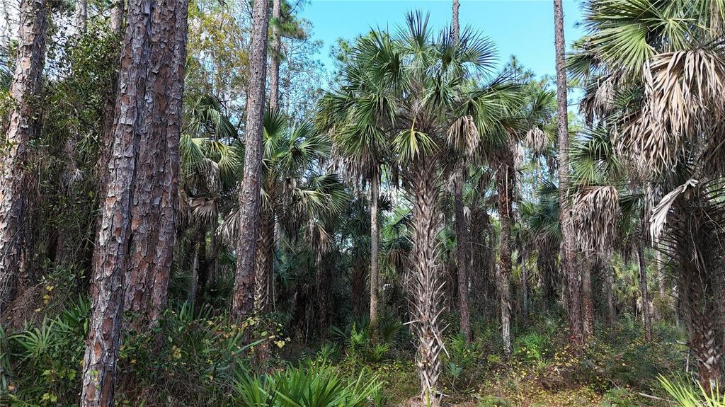 Photo of 16th Ave SE, Naples, FL 34117 (MLS # OM717000)