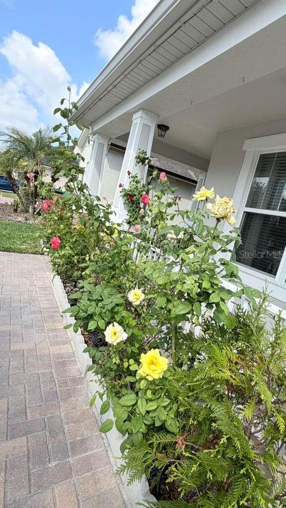 MILLENNIA PARK PH 2 - Residential