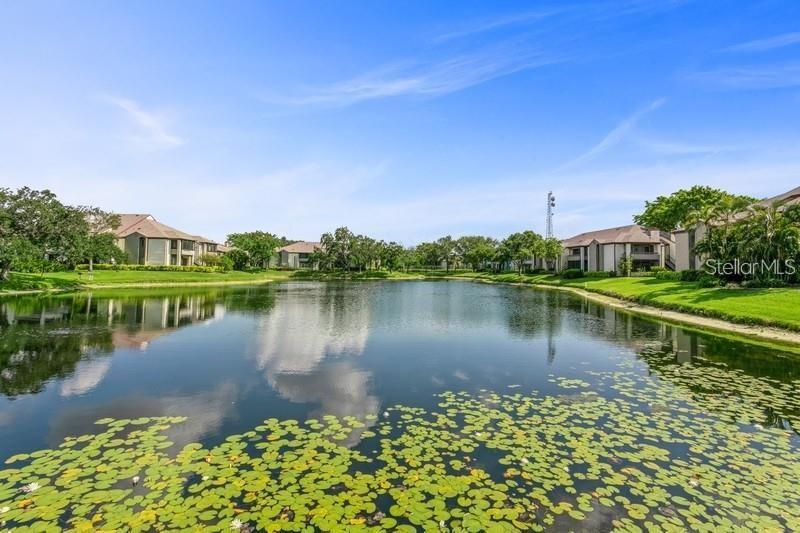 ITOPIA PRIVATE RESIDENCES CONDO - Residential Lease