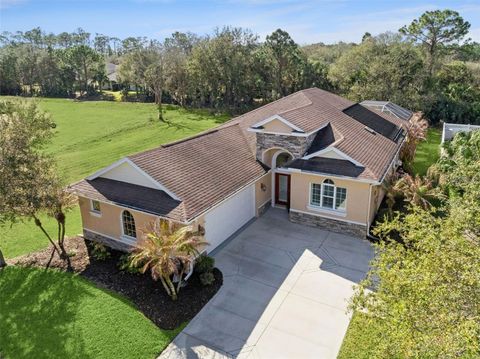 Photo of 3344 Leonardo Lane, New Smyrna Beach, FL 32168 (MLS # O6385163)