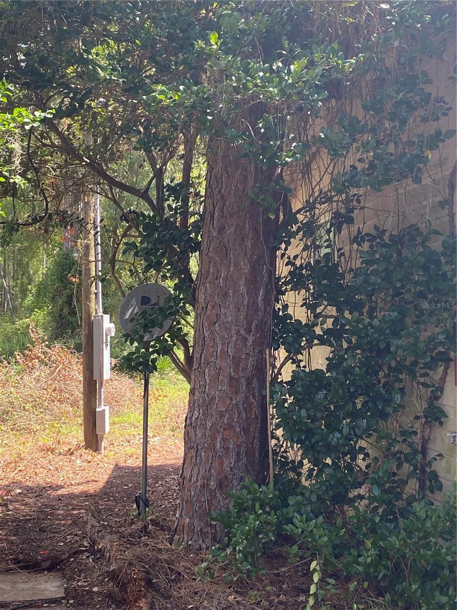 ROLLING GREEN ACRES - Residential